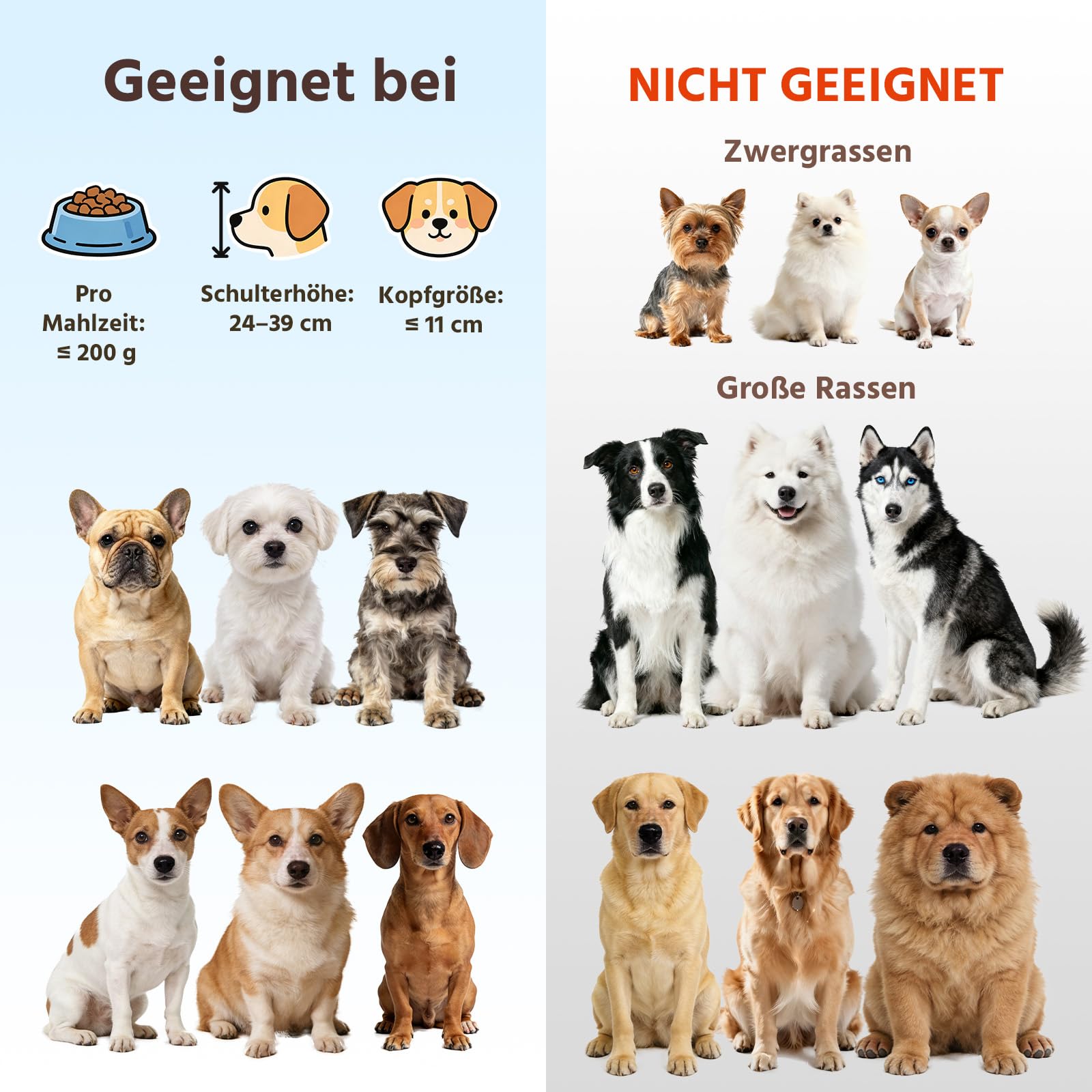 Erhöhtes Hundenapf-Set aus Keramik mit Metallständer - Doppelte Fressnäpfe für Kleine bis Mittelgroße Hunde - Ideal für Futter und Wasser - Je 600 ml / 320 g - Weiß
