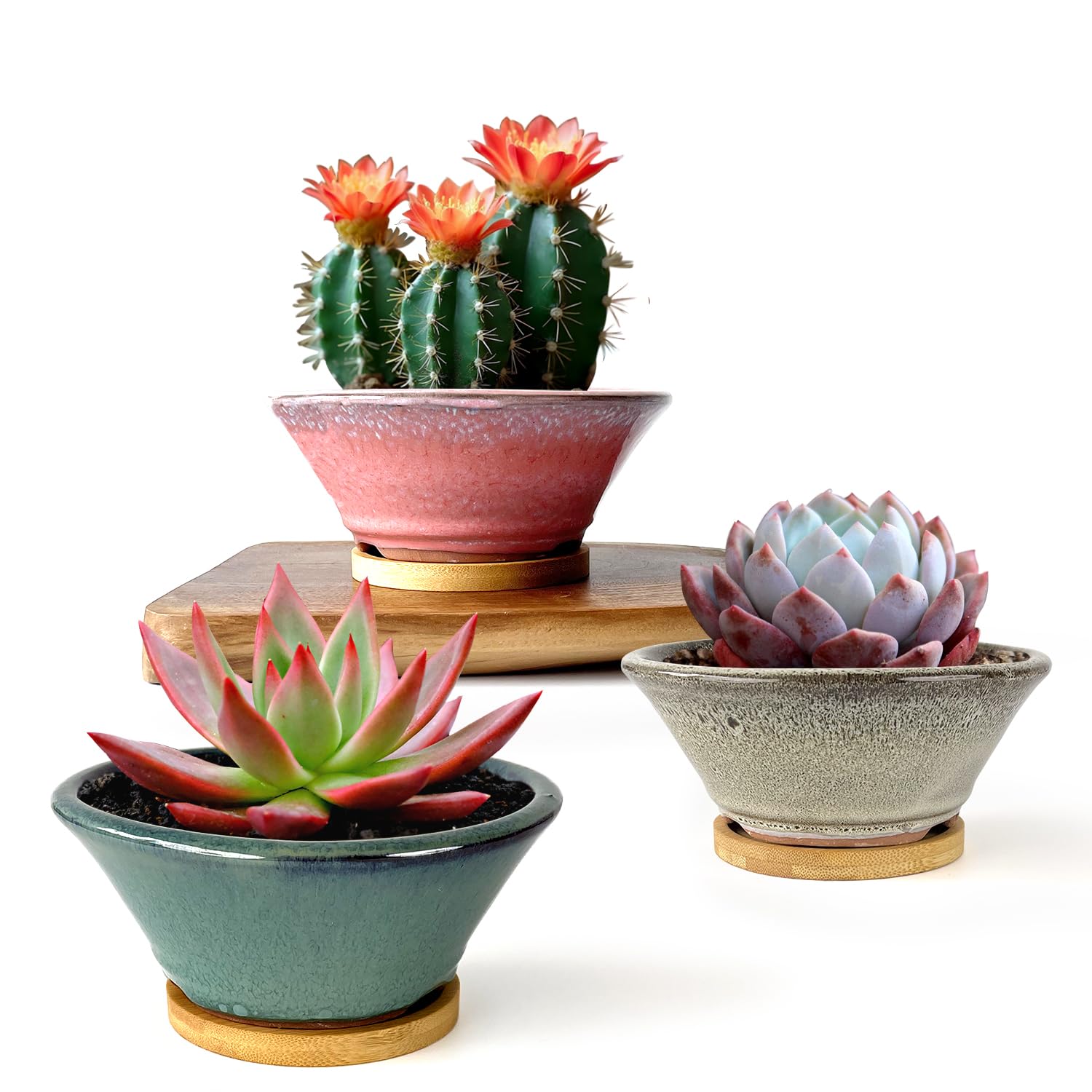 Summer Impressions 6 Inch Glazed Terracotta Succulent Pot Planter Small Plant Pot with Drainage Hole and Bamboo Saucer Cactus Ceramic Pot Set of 3 (