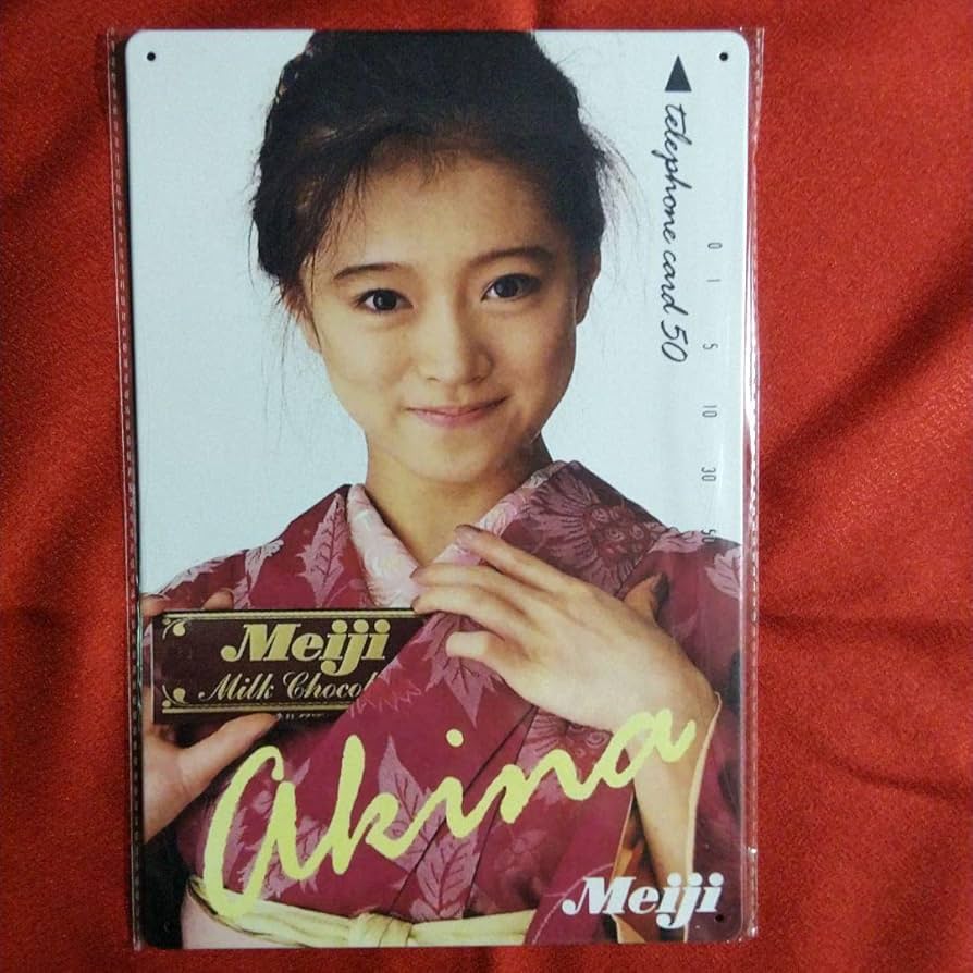 Amazon.co.jp: 画像 中森明菜 （80年代アイドル） ブリキ看板