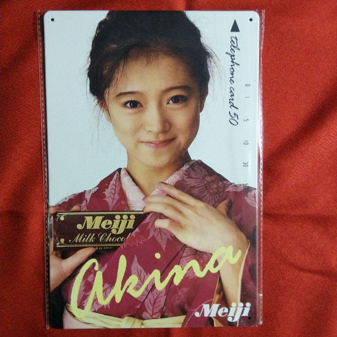 Amazon.co.jp: 画像 中森明菜 （80年代アイドル） ブリキ看板