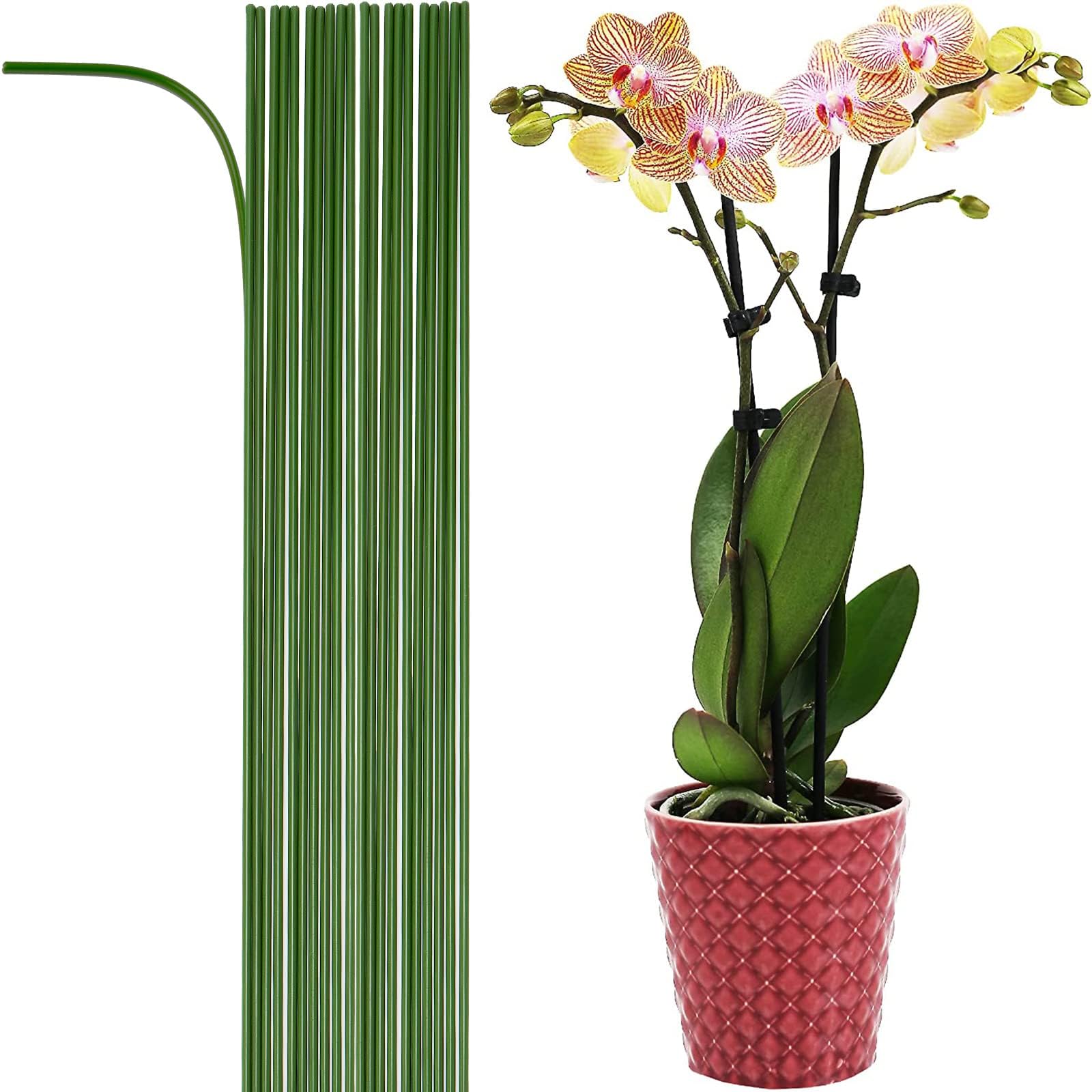 20-PCs 24" Plastic Coated Orchid Stakes for Plants Support, Bendable Orchid Support Stakes - Green Long