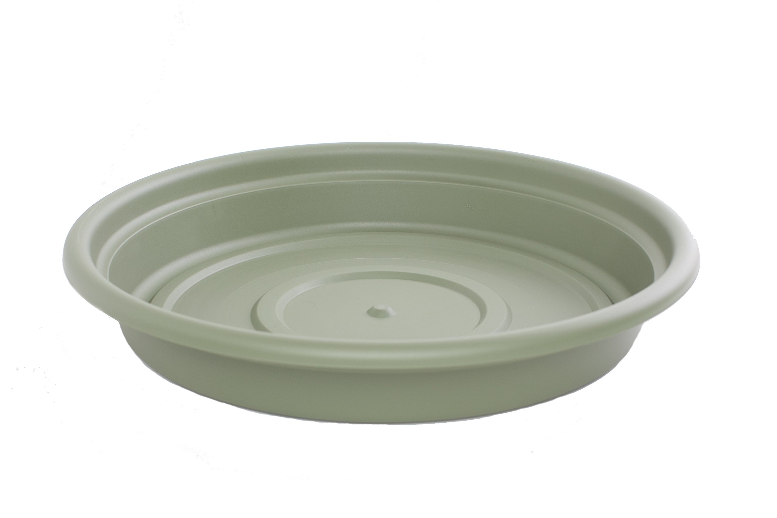 Bloem, 16, Living Green SDC16-42 Dura Cotta Plant Saucer, Inch