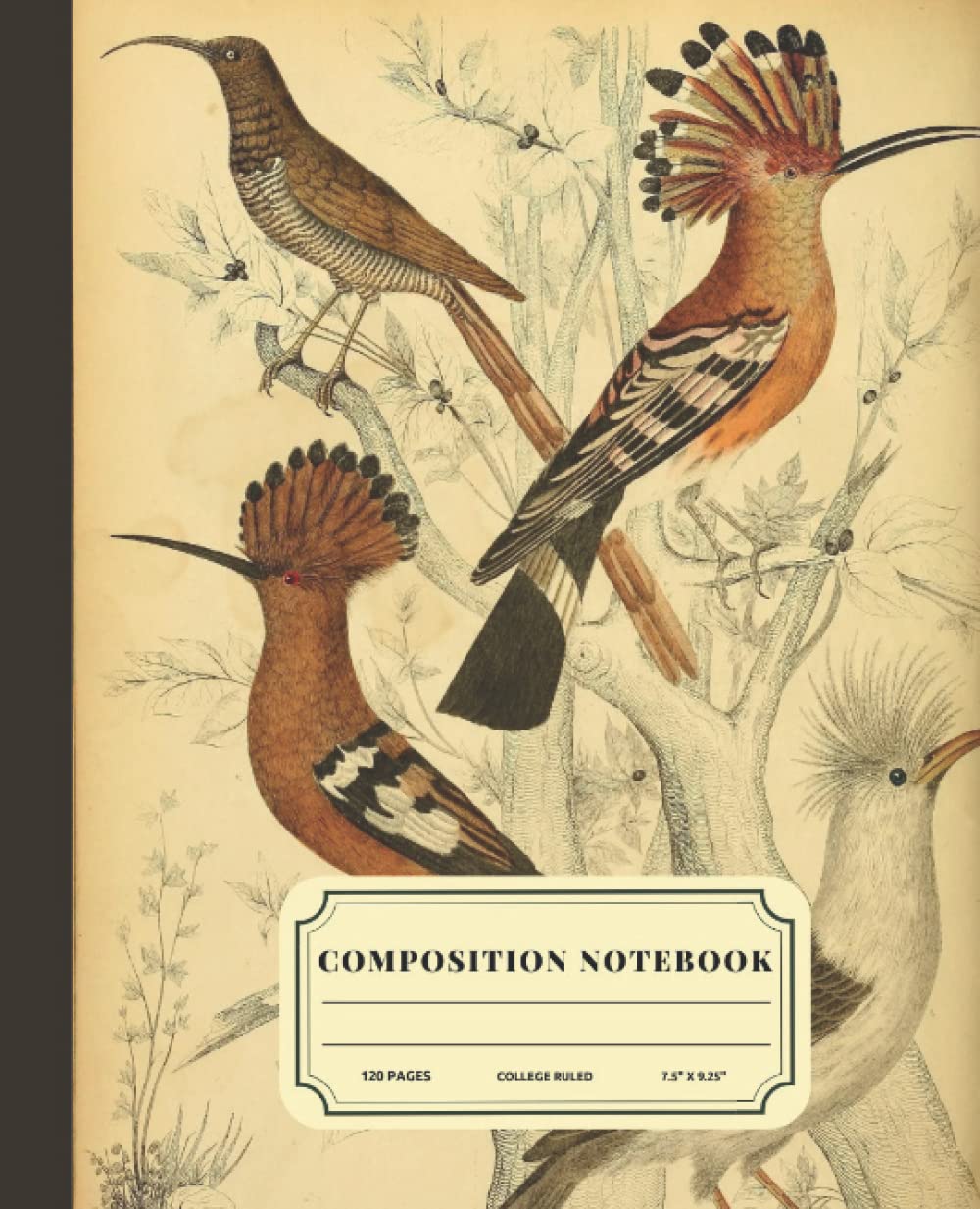 Composition Notebook: Vintage Hoopoe Birds Illustration | Edinburgh Journal of Natural History and of The Physical Sciences, With The Animal kingdom ... 7.5" x 9.25", 120 Pages (Vintage Composition)