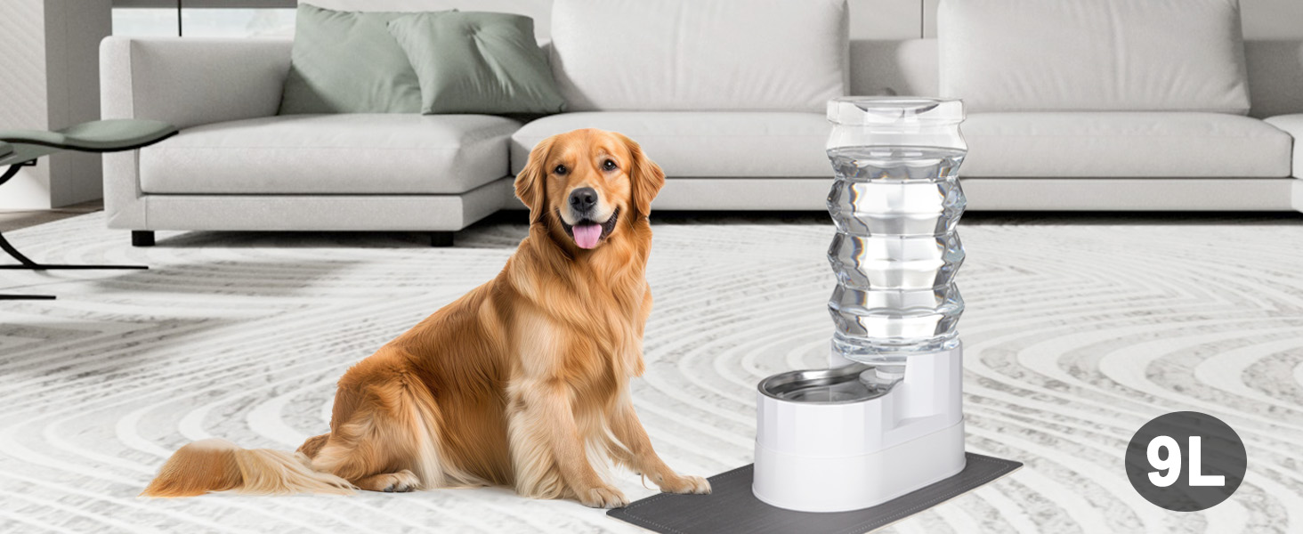 Pet Supplies : RIZZARI 9L Elevated Stainless Steel Dog Water