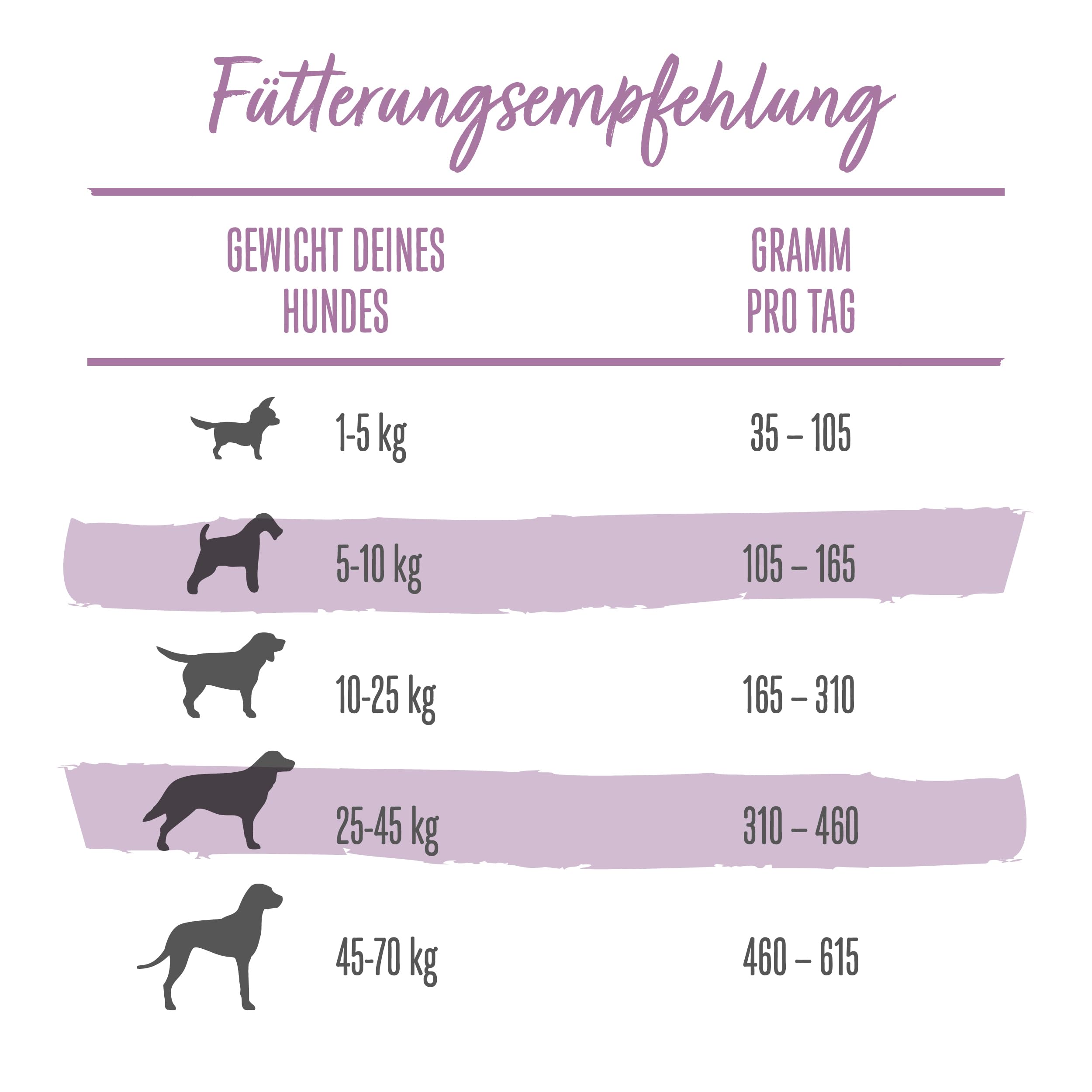 Beneful Glückliche Jahre 7+ Senior Hundefutter trocken, mit Huhn und Gartengemüse, 1er Pack (1 x 12kg)