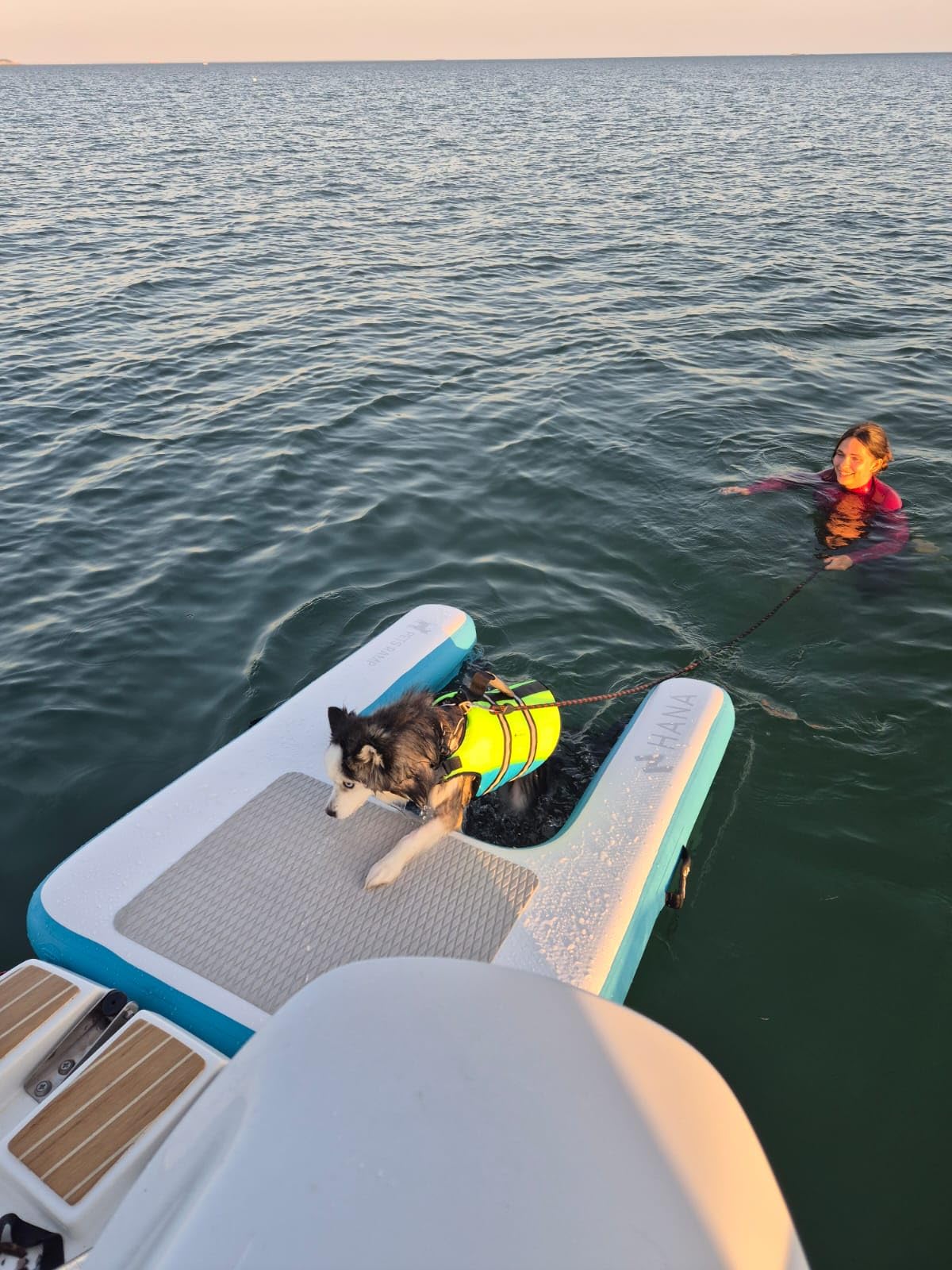 HANA Rampe de Sortie d’Eau Gonflable pour Chiens – Plateforme Flottante Premium en Dropstitch (150x100x15cm) – Échelle de Bateau, Piscine et Quai – Haute Résistance & Filet Antidérapant avec Marches