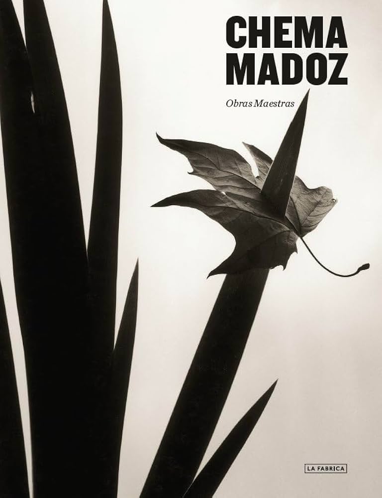 CHEMA MADOZ　チェマ・マドス Chema Madoz - Galería Elvira González