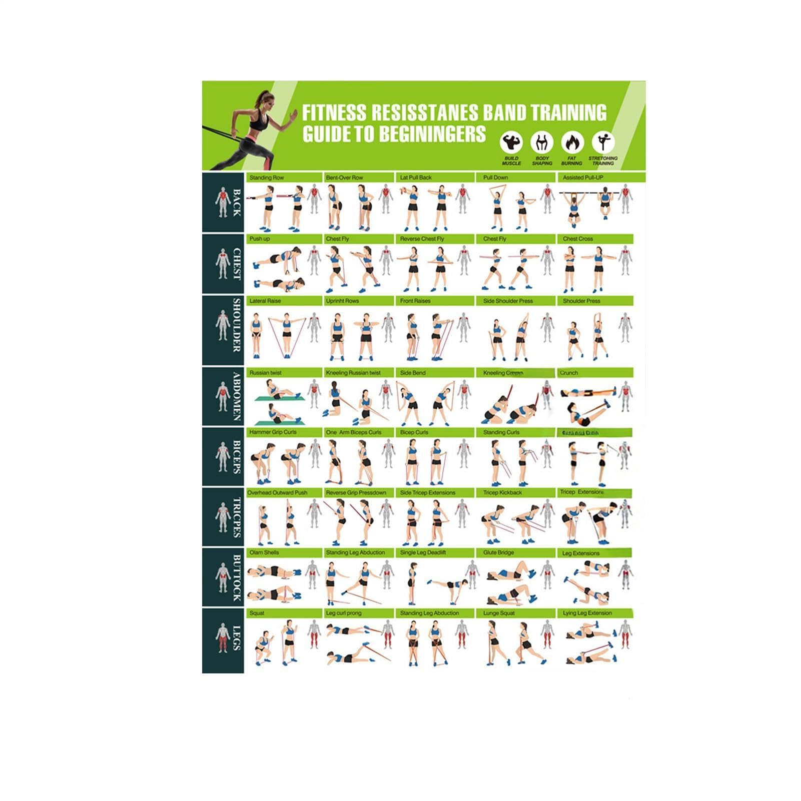 Cartelli con Grafico di Allenamento, Planner Carta Illustrato 42,8x57,4cm da 90g, Decorazione Murale con Fasce di Resistenza per Muscolatura, Stretching, Yoga, Allenamento, per Casa, Club, Uomini
