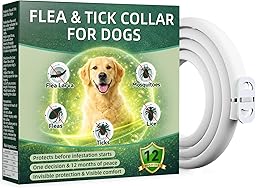 Collare Antiparassitario per Cani 65cm con Oli Essenziali di Citronella e Lavanda, Collare Antipulci Cane Naturale contro Pulci e Zecche, Adatto per Cani di Media e Grande Taglia