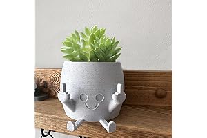 Smiley Succulent Planter with Attitude