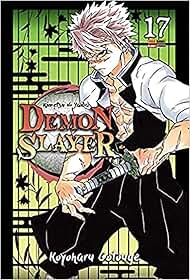 Demon slayer - kimetsu no yaiba vol. 17