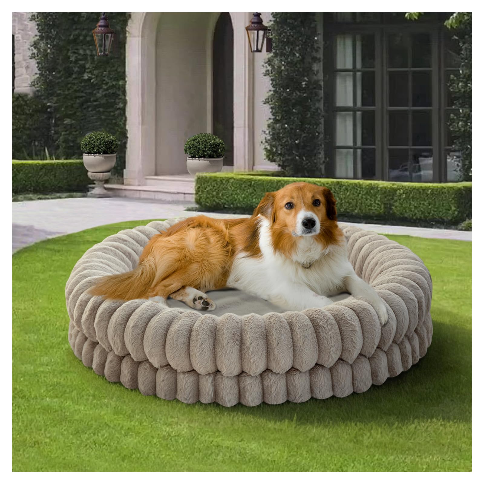 BALANCE Luxury Donut Dog Bed