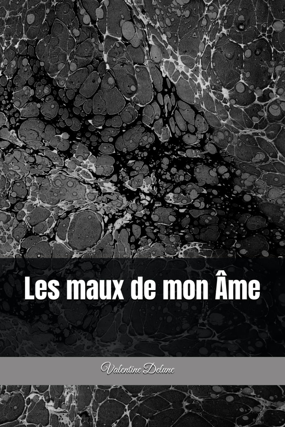 Les maux de mon Âme