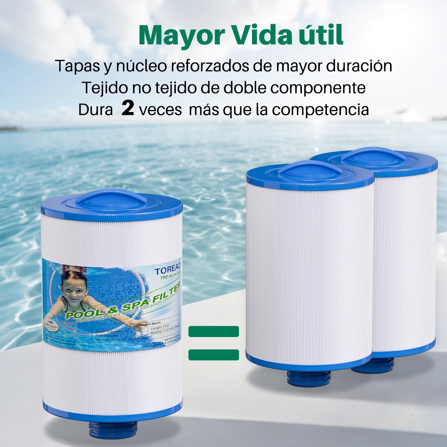 TOREAD Filtro de Repuesto para SPA Unicel 6CH-940, PWW50P3 (no PWW50P4), Filbur FC-0359, 817-0050, 25252, 03FIL1400, Filtro de Rosca SAE de 1 1/2 Pulgadas, Paquete de 2