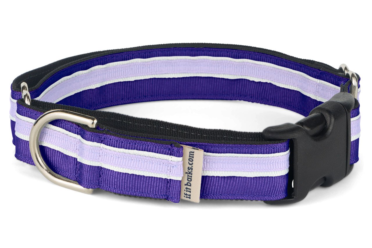 If It Barks Martingale Collar