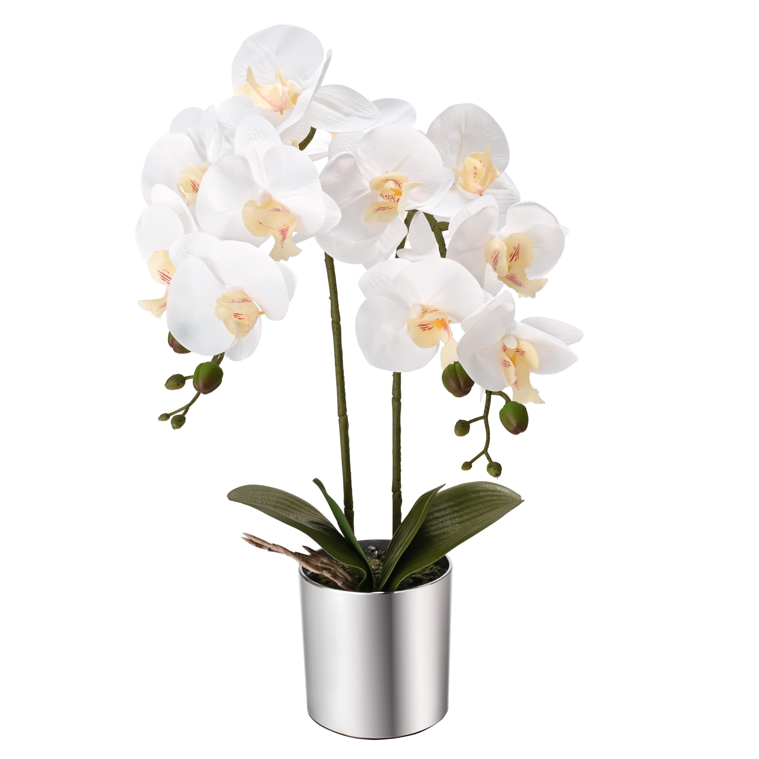LUEUR Artificial Orchid Plants & Flowers Arrangement in Ceramic Pot (White)