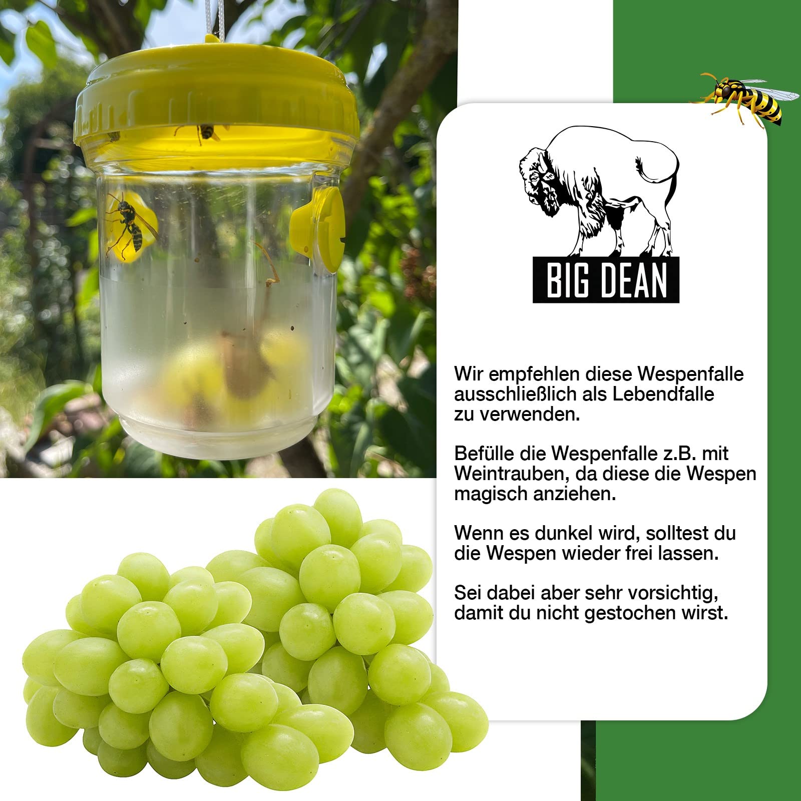 BigDean 3er Set Wespenfallen für draußen in Grün 9x13cm - Lebend Fallen zum Aufhängen gegen Wespen, Bienen, Hornissen - Hornissenfalle Bienenfalle Fliegenfalle - für natürlichen Lockstoff
