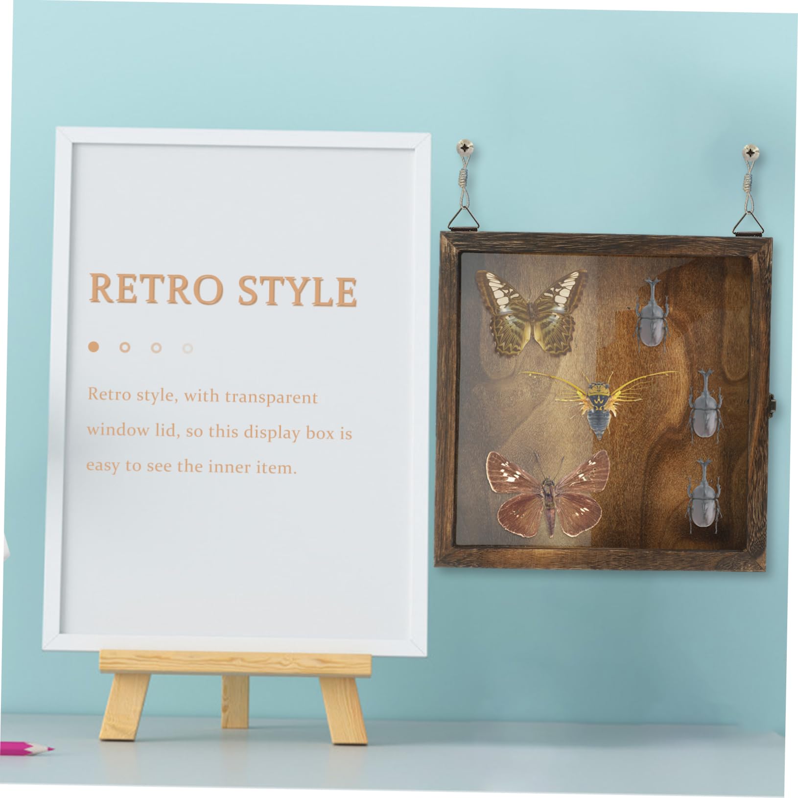 Zerodeko Caja de Exhibición para Insectos Diseño Retro, Gran Capacidad y Estructura Ligera de Acrílico y Madera Adecuado para Colgar Pared Estilo
