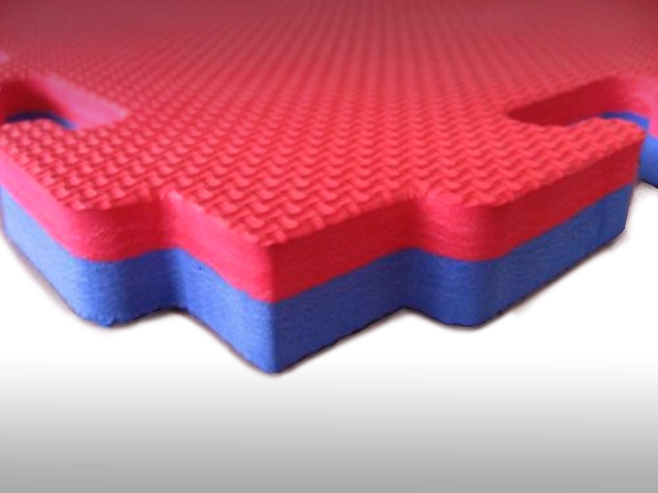 dirty pro tools THICK EVA INTERLOCKING FLOOR MATS GYM JUDO EXERCISE MARTIAL ARTS SPORTS BOXING RED-BLUE