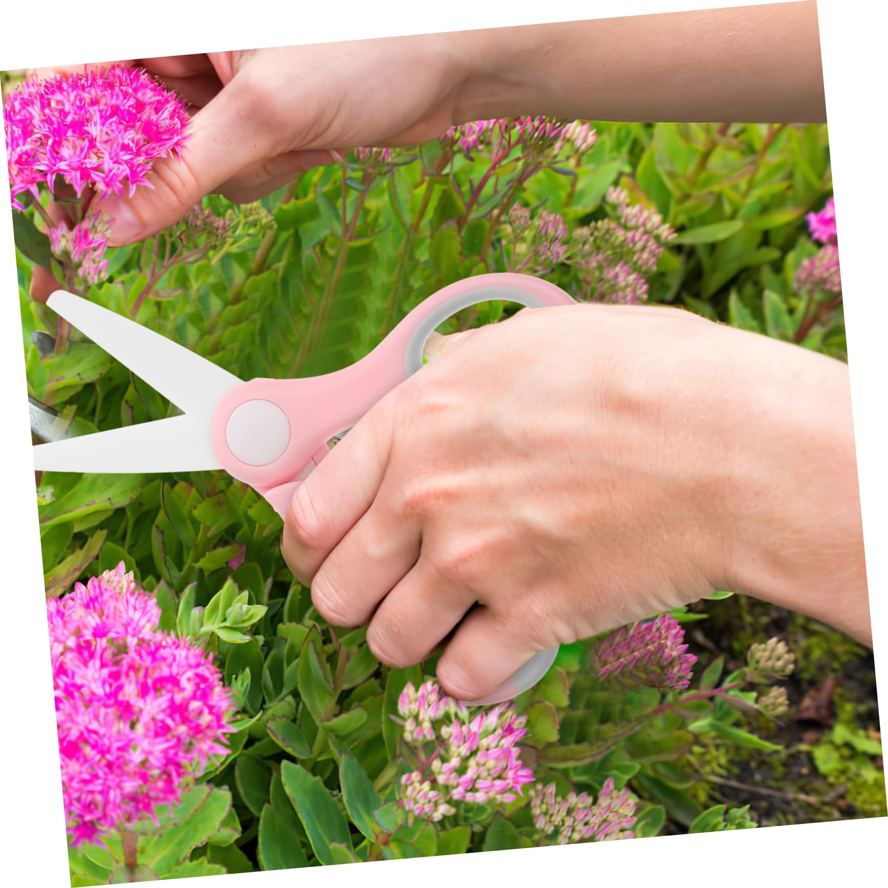 Forbici da Potatura Ceramiche per Fiori, Set 1 Pezzo con Impugnatura