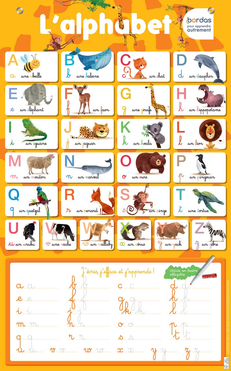 Les Posters effaçables - L'alphabet