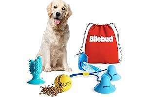 Double-Suction Dog Toy