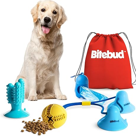 Double-Suction Dog Toy