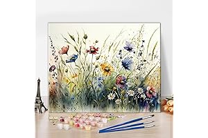 TUMOVO Adult Paint by Number Kits on Canvas