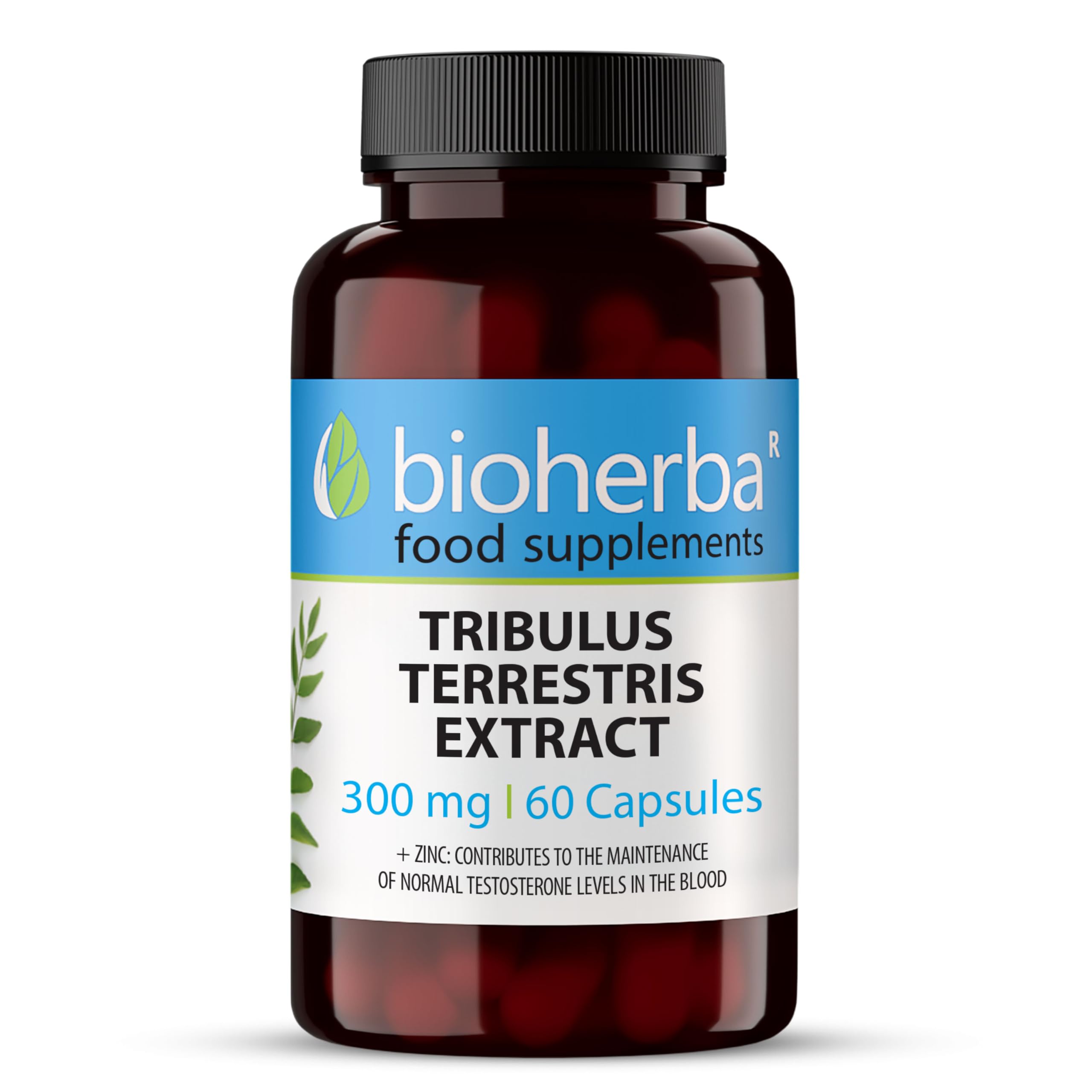 Tribulus Terrestris – 100 Gélules de 300 mg | Avec zinc – Complément végétal pour le tonus masculin – par BIOHERBA