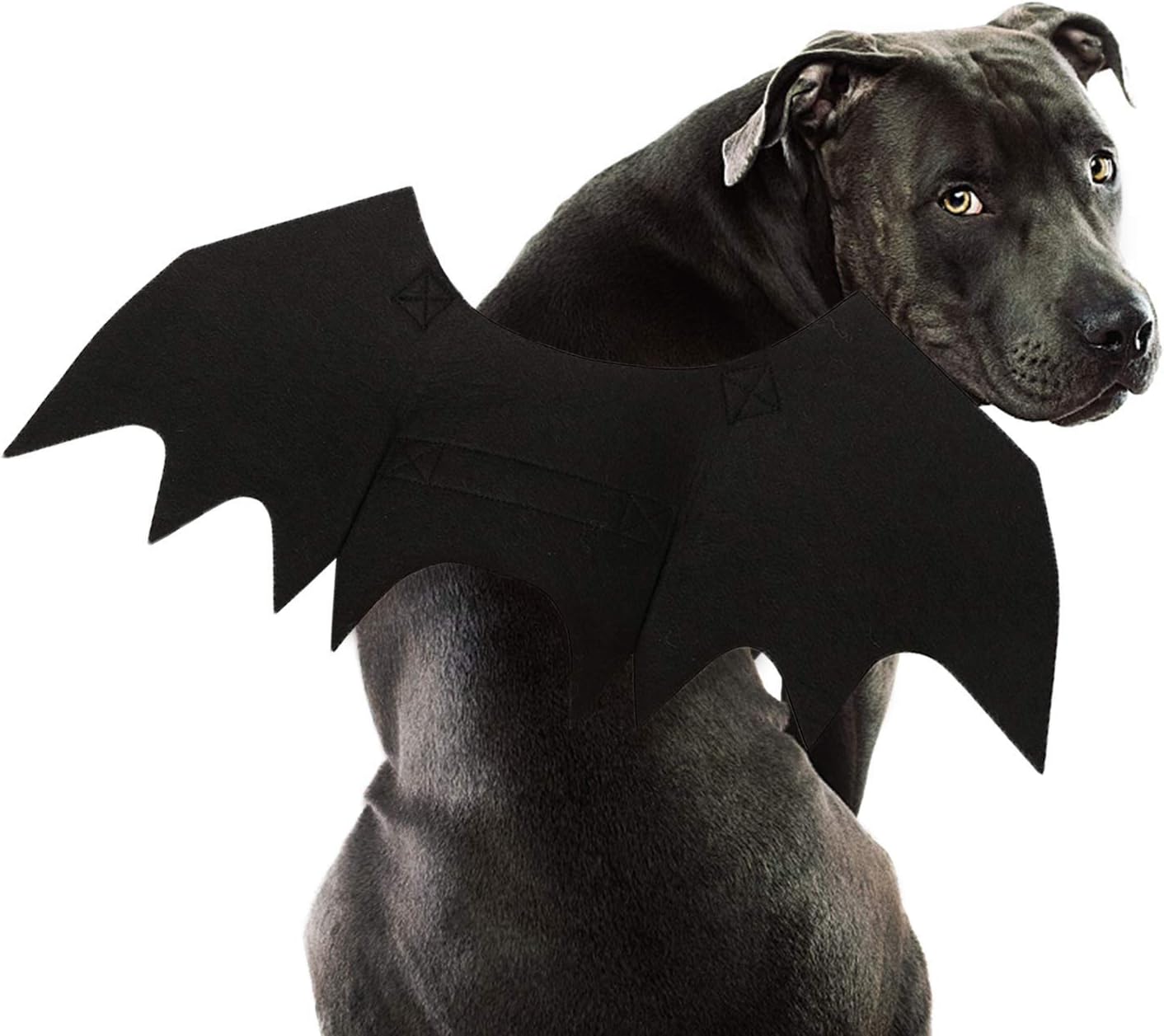 RYPET Torimfe Bat Wings Cosplay Dog Costume for Party, Large