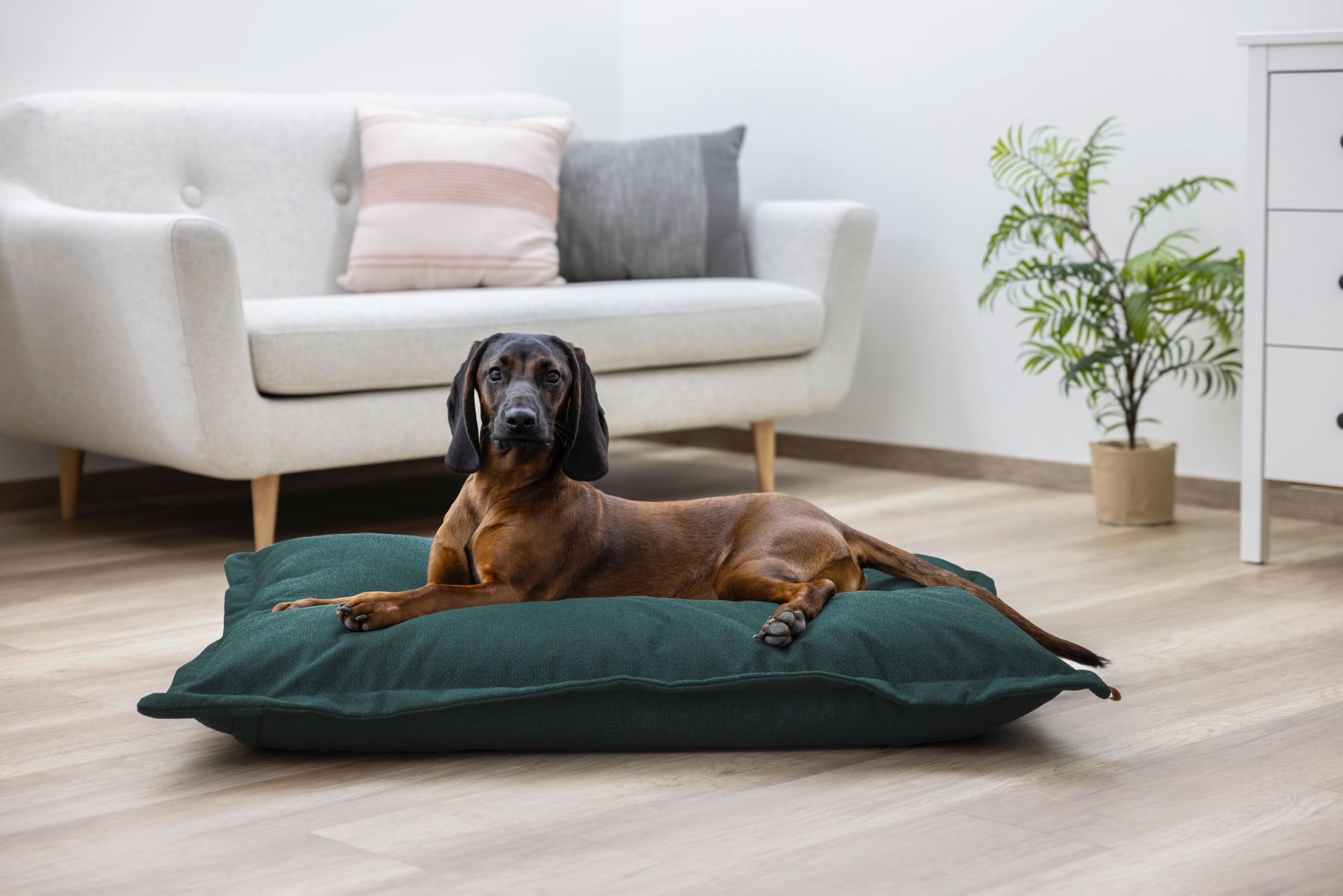 Kerbl Pet Saco de Dormir Oliver, Cama Perros, Robusto, Resistente a la abrasión, Funda Lavable, Cómodo Lugar para tumbarse, Verde inglés, 120x80x18 cm | English Green, 120 × 80 × 18 cm, cómoda cama para perros y cojín de poliéster de fácil cuidado
