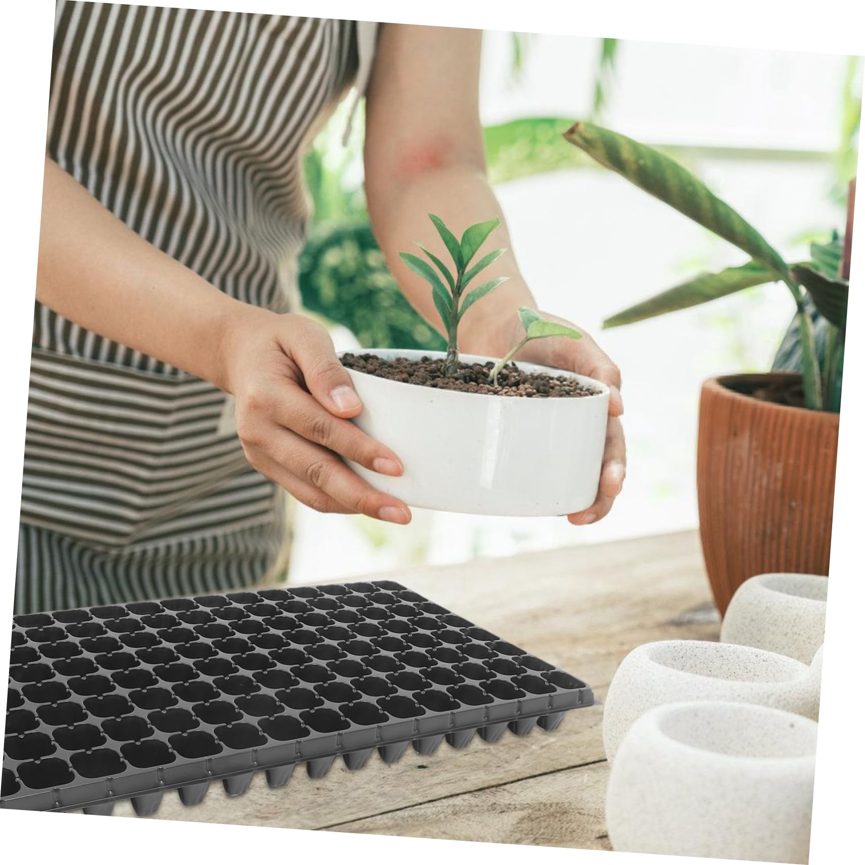 Happyyami Plaque de Germination 128 Alvéoles en PVC, Lot de 10, pour Semis de Graines et Potager Jardin, Ventilation Optimale, Retrait Facile
