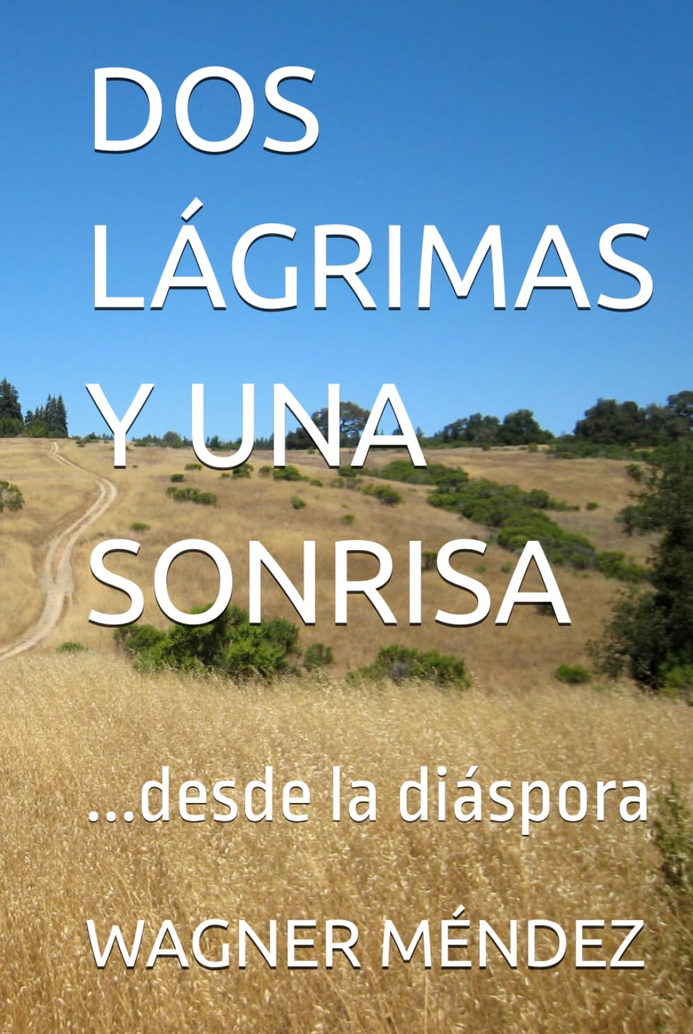 DOS LÁGRIMAS Y UNA SONRISA: ...desde la diáspora