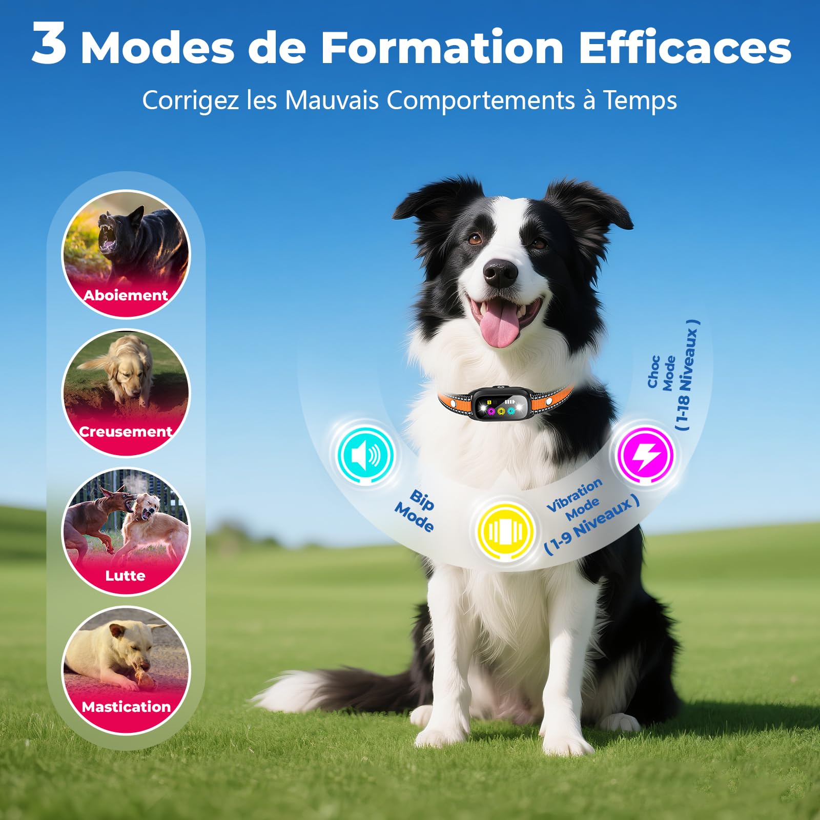 Collier Electrique pour Chien, Collier Dressage Chien avec Télécommande, Portée 1000m, 4 Modes de Dressage (Bip, Vibration, Choc, Lumière), Étanche IP67, Adapté Aux Chiens de Petits et Grands