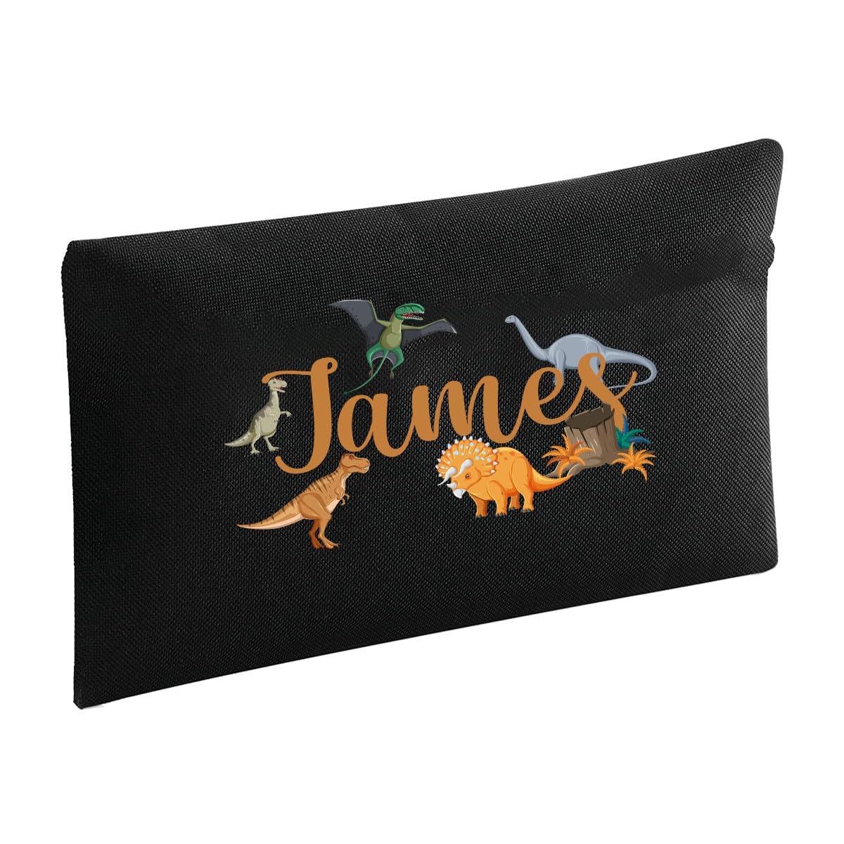 D&T Personalised Dinosaur Animals Pencil Case for Boys Kids Student Stationery Organizer Pen Holder Pouch School Supplies Bag Black
