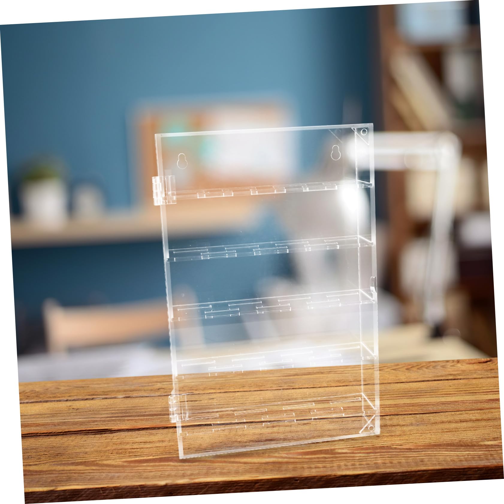 TOYANDONA Coffret de Collection de Pièces 35 Médailles en Acrylique