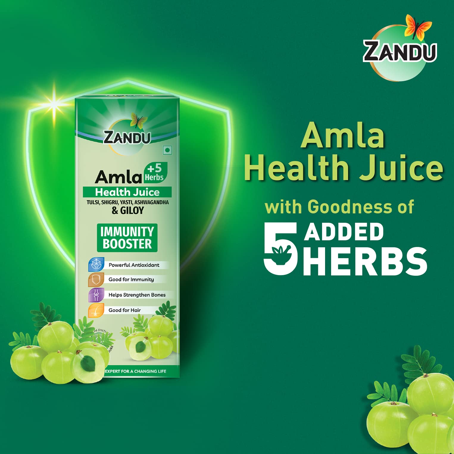 Amla +5 Succo di erbe di Zandu
