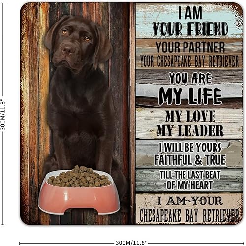 Miniatura 2 de Cartel de metal divertido con texto en inglés Your Friend Your Partner Your Chesapeake Bay Retriever, póster de metal para decoración de pared para