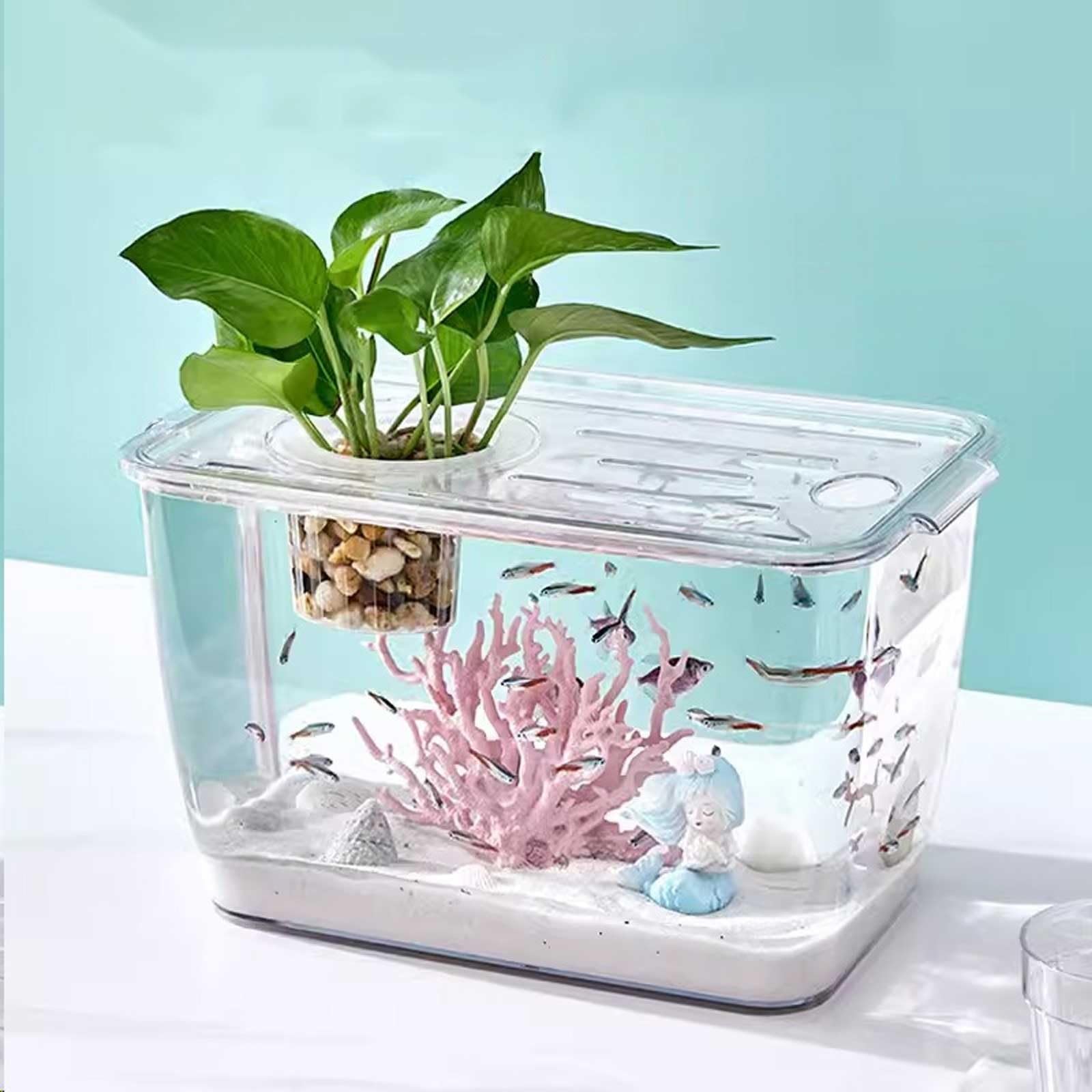 Amazon | 魚 アクアリウム タンク スーパークリア アクリル 四角 水槽