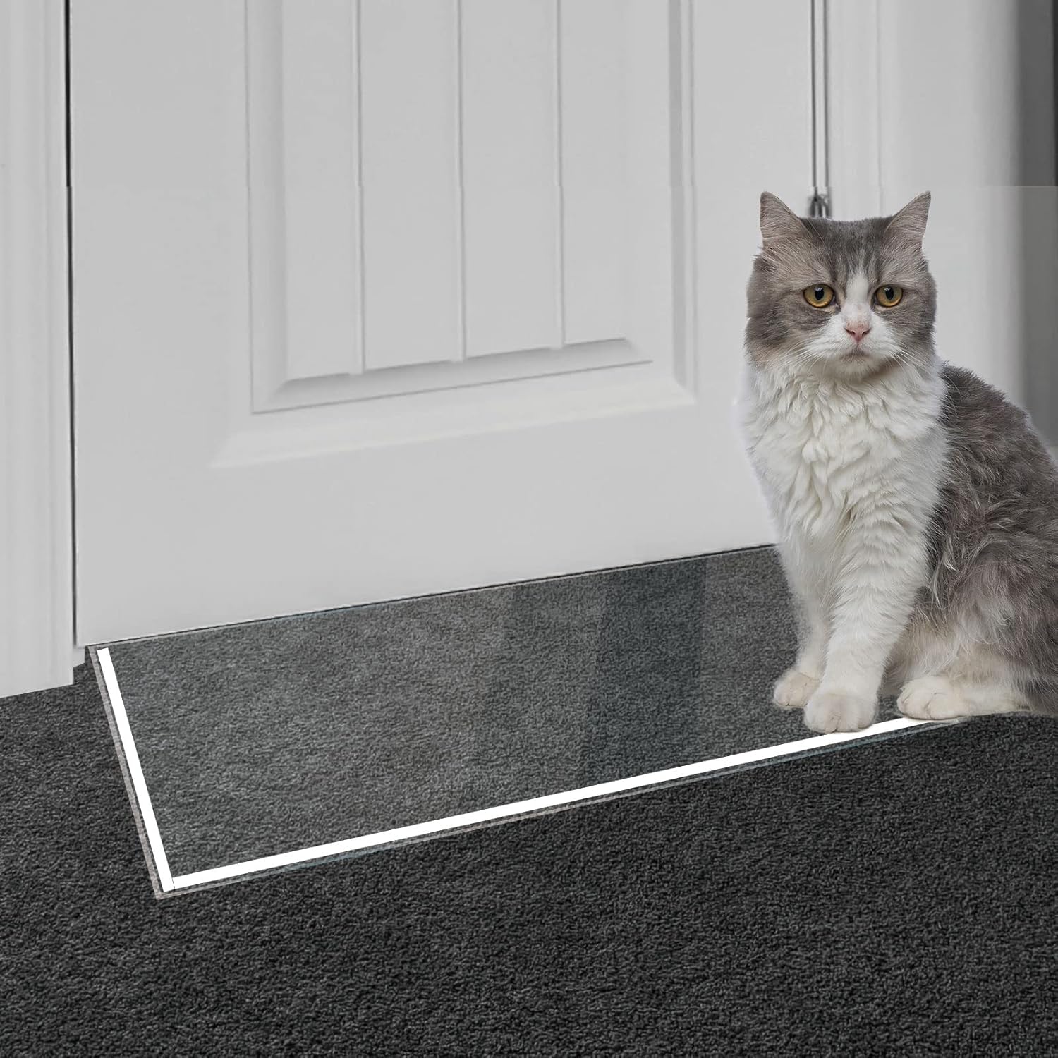Carpet Protector for Pets, Clear NonSkid Cats Dogs Carpet Protector for Doorway
