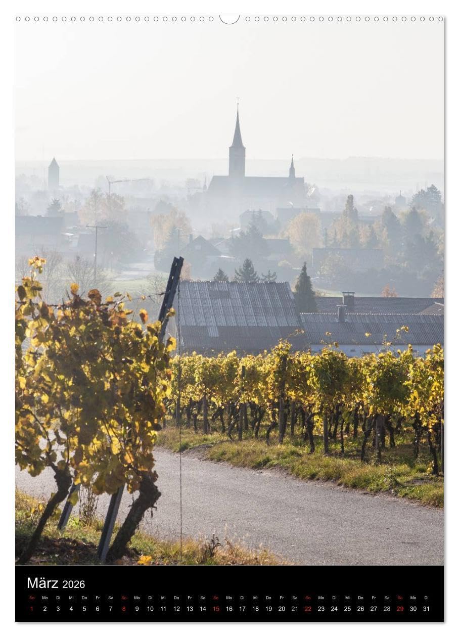 Iphofen - Wein und Kultur (hochwertiger Premium Wandkalender 2026 DIN A2 hoch), Kunstdruck in Hochglanz: Iphofen, Weinstadt mit Kultur (CALVENDO Orte)