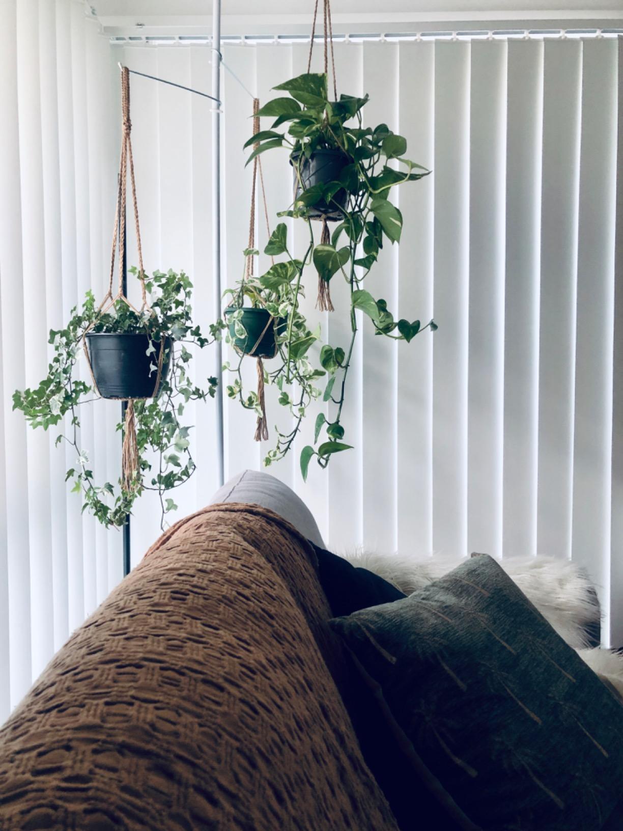 Spring Tension Rod Indoor Plant Pole With 3 Adjustable Arms Amazon