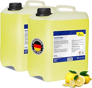 Mr.Perfect® - Profi Multi Reiniger 2x5L Kanister Auto Reiniger | Polsterreiniger Auto und Teppichreiniger | Kunststoffreiniger und Autoreinigung von Innen und Außen