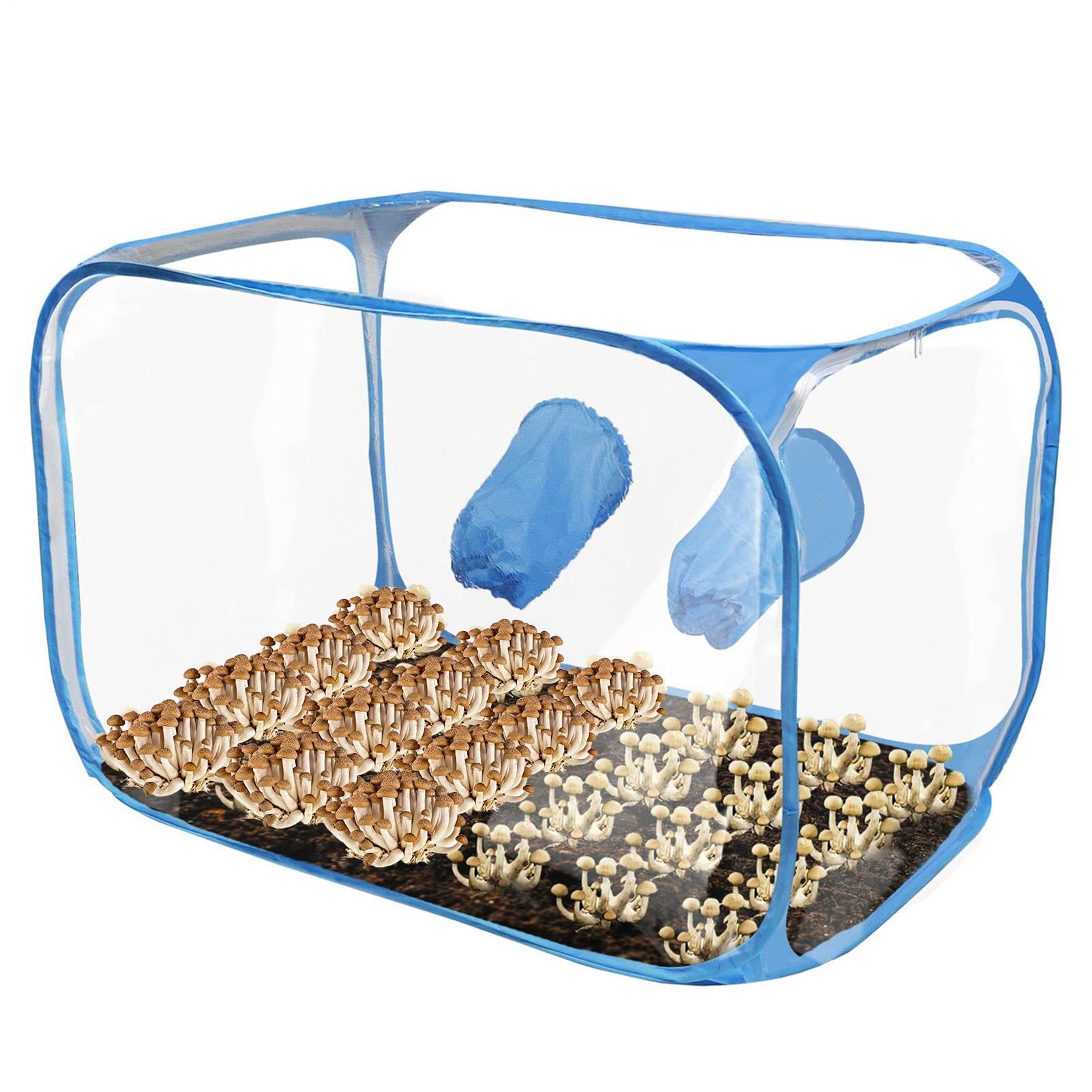 Tente champignon Pop Design pliable et ventilée