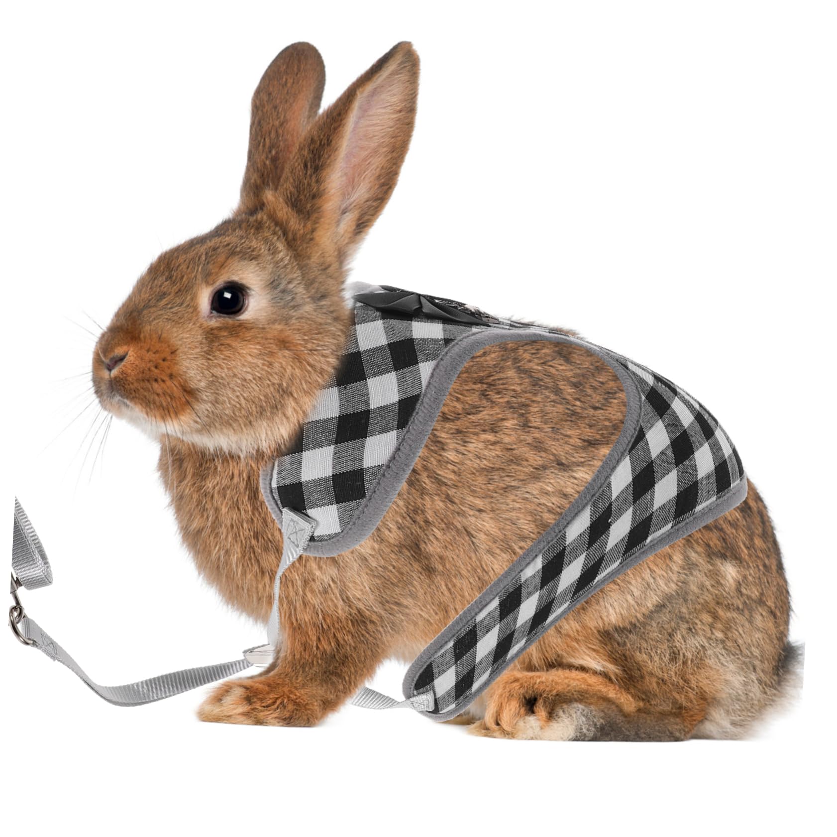 Milisten 4sätze Kaninchenkostüm Mit Leine Und Geschirr Atmungsaktives Verstellbares Bunny Outfit Aus Hochwertiger Für Haustiere Für Kleine Tiere Wie Zwergkaninchen Und Babyhasen