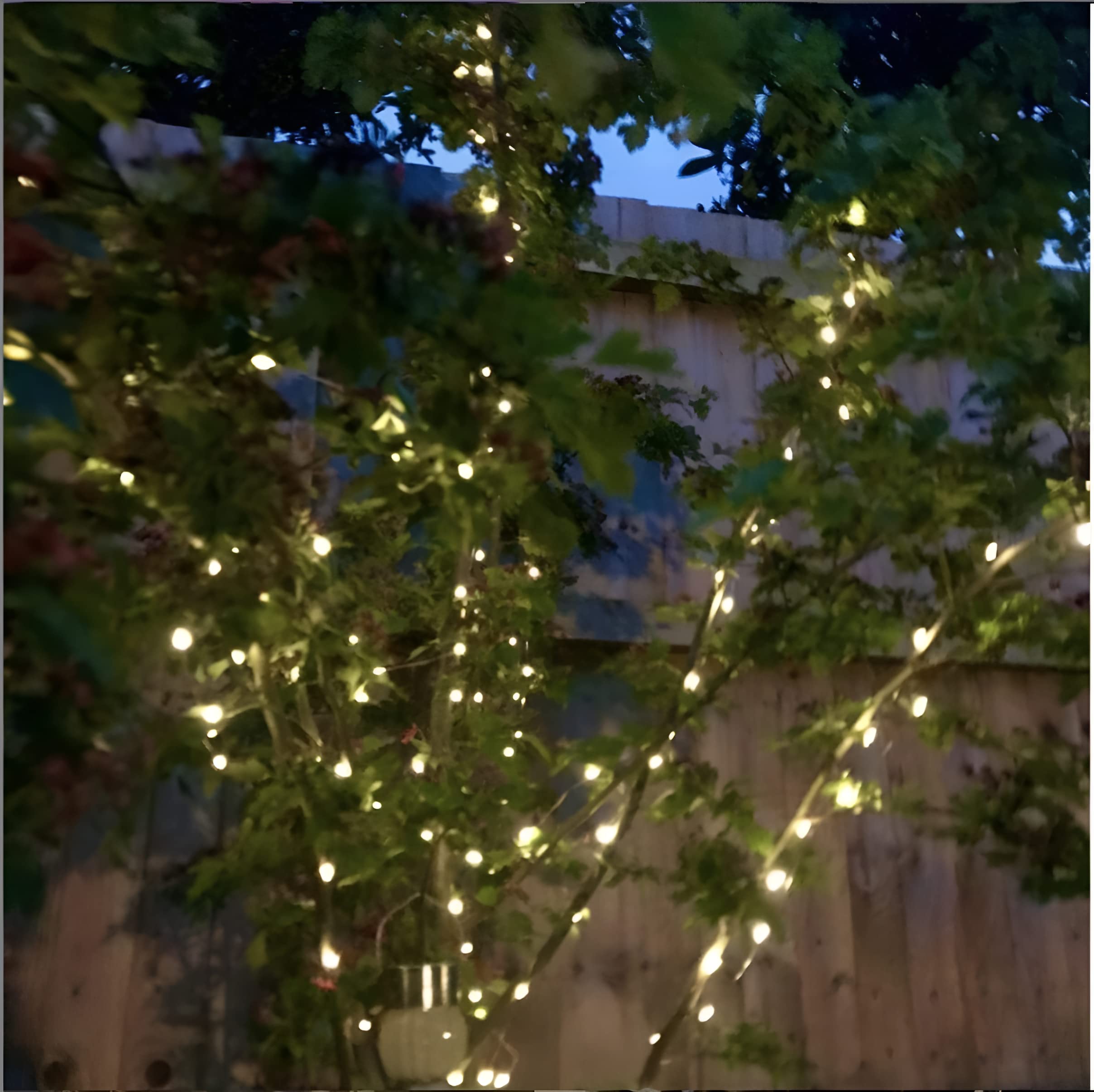 Mini luci corte da giardino a energia solare, impermeabili, per esterni, filo verde, bianco caldo, 5 m, 50 LED, confezione da 2