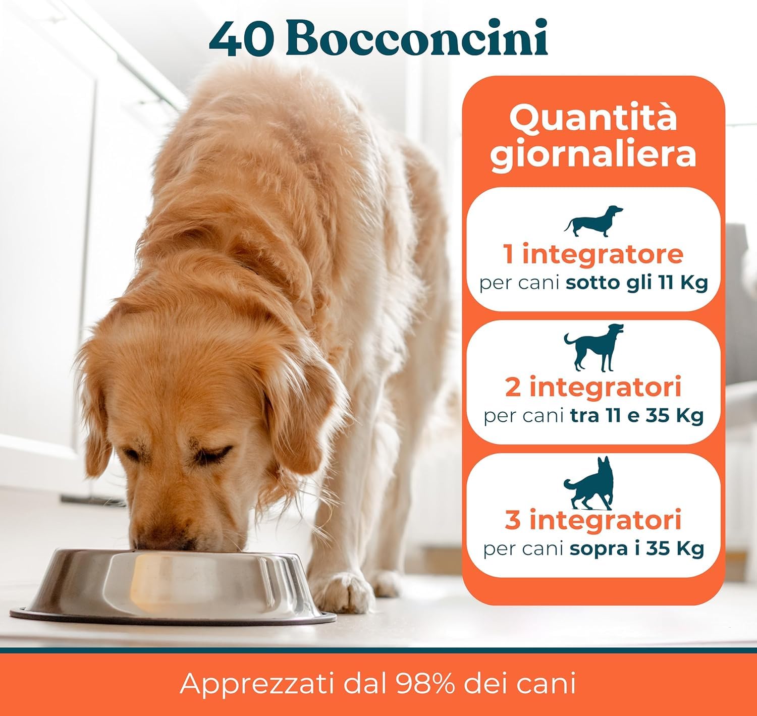 Supporto Prurito con Probiotici per Cani Gusto Manzo - Integratore per CanI per Prurito e Sensibilità Stagionali