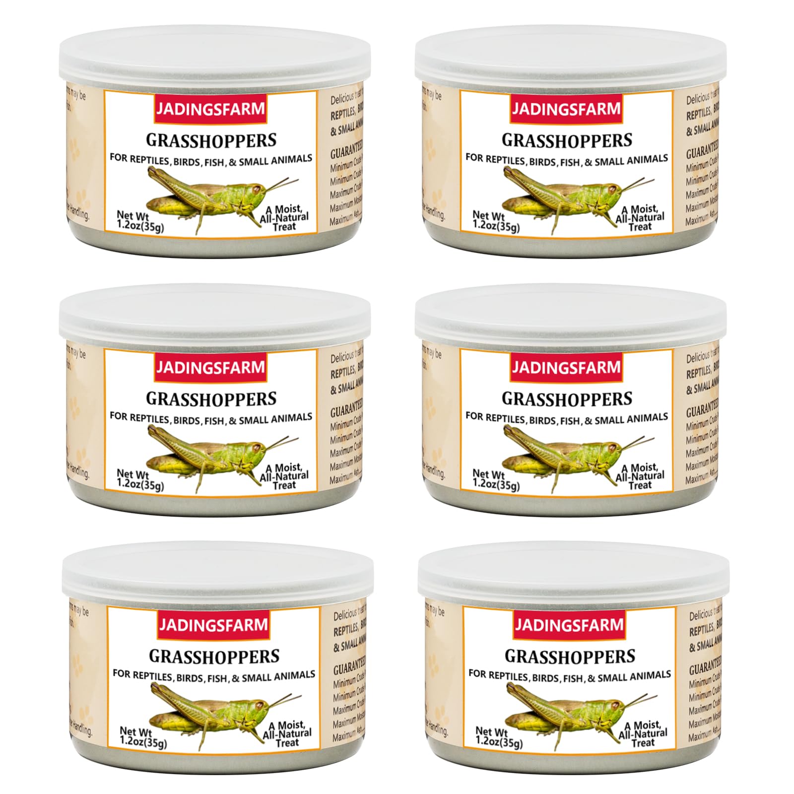 6 Pack Canned Grasshoppers for Reptiles, Fish, Birds and Small Animals, Grasshoppers, Healthy High Protein Treat, Bearded Dragon Food 7.2 Ounces Total