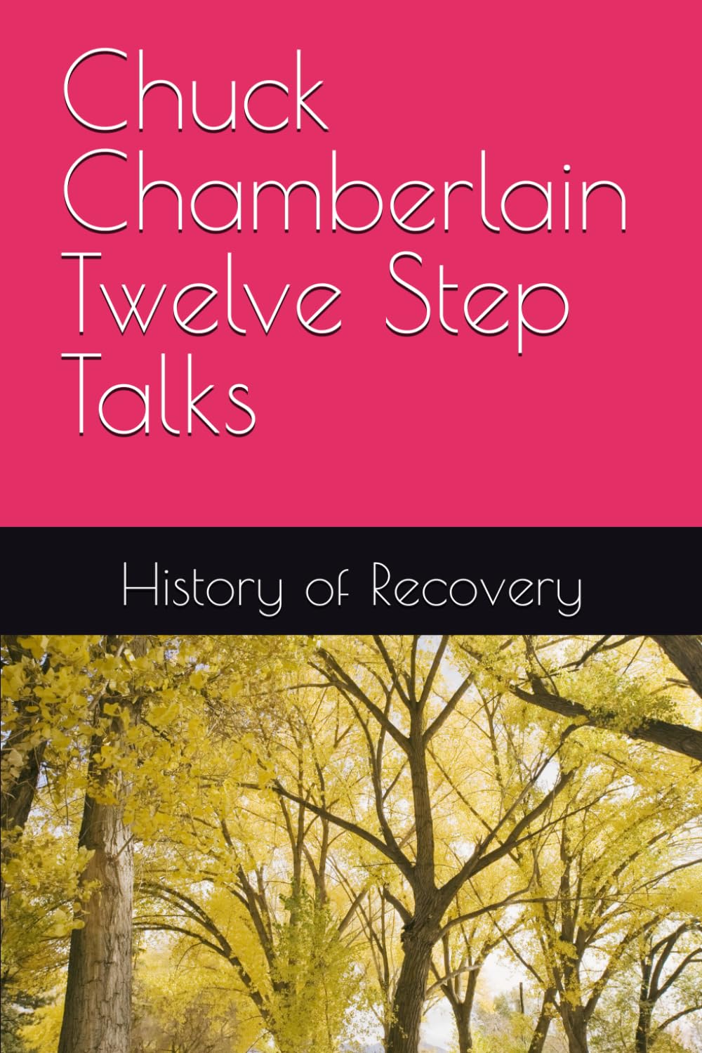 Chuck Chamberlain Twelve Step Talks