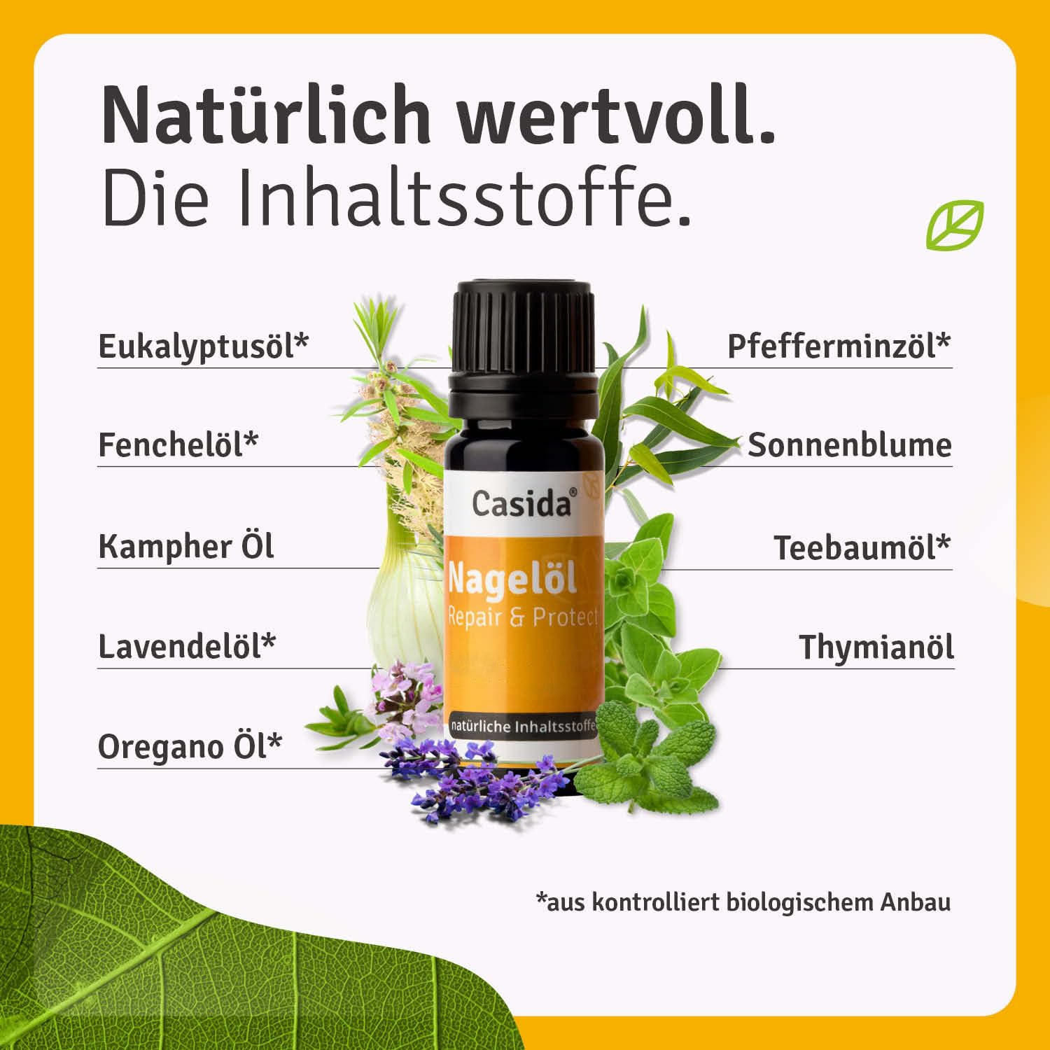 Casida Nagelöl Repair & Protect – Pflegeöl für beanspruchte Nägel – stärkt & regeneriert Finger- & Fußnägel – pflanzlich, ohne chemische Zusätze – mit Teebaumöl & Oregano Öl – Made in Germany- 10ml